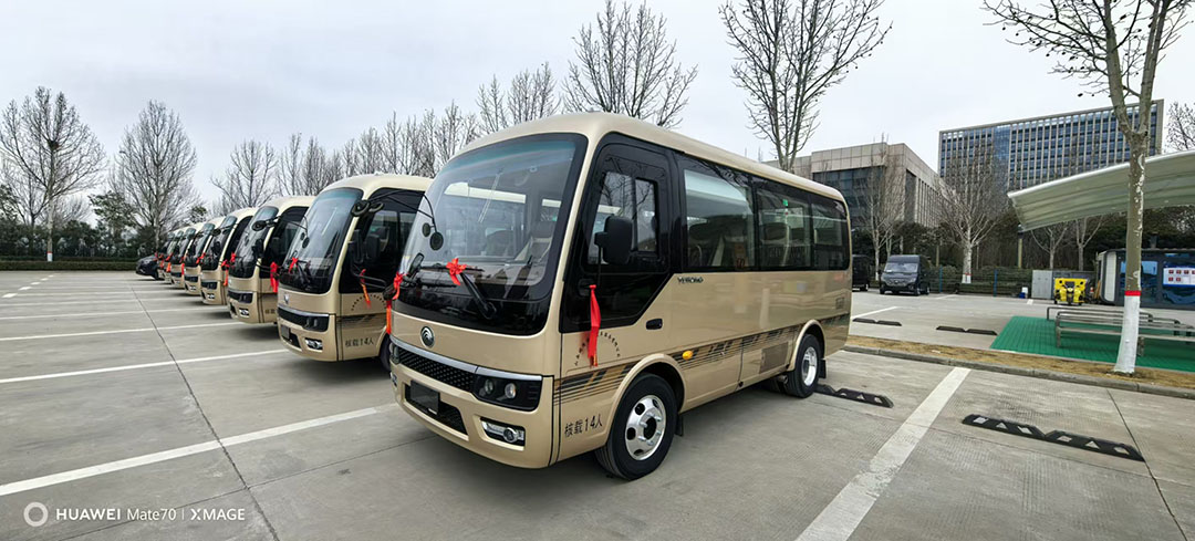 ɽ��������